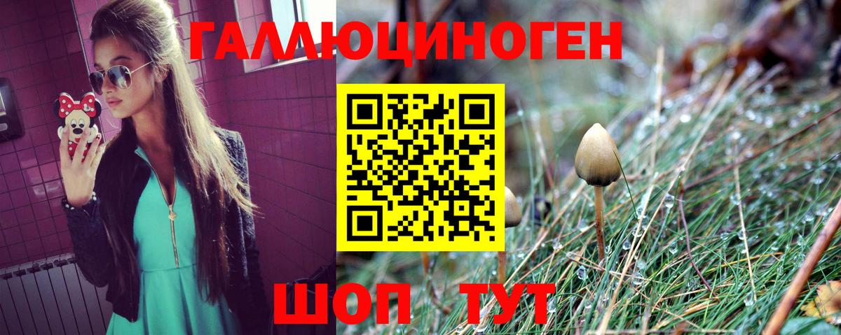 Псилоцибиновые грибы мицелий Красногорск